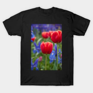 Tulip 1 T-Shirt